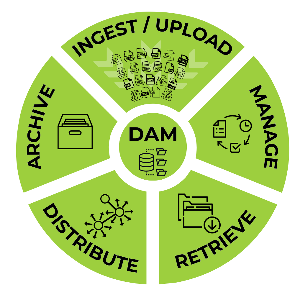 Digital Asset Management system core functionality